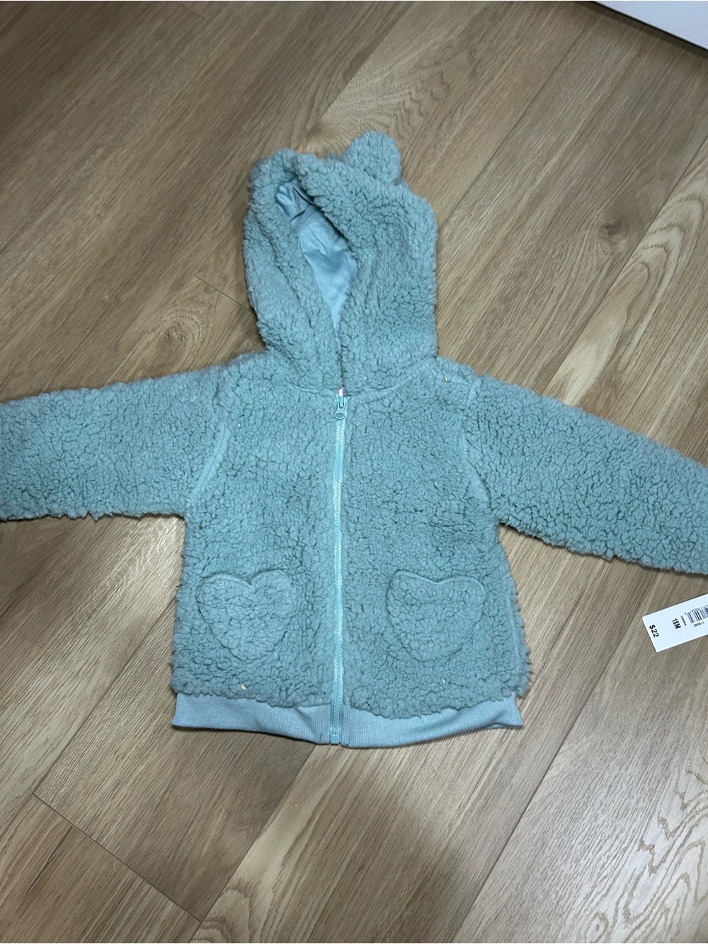 Ariella Mint Green Teddy Hooded Zip Sweater with Heart Pockets